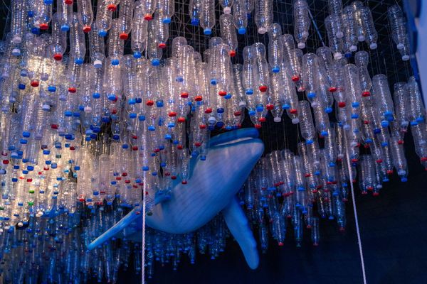 Expo 2020 Dubai: Water Week as final Theme Week to Highlight Water Preservation