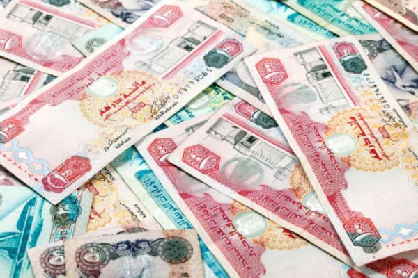 Currencies that account for 90% of Arab transactions: AMF Director-General
