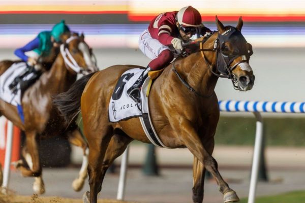 Super Saturday’ at Meydan Racecourse to hold 9 races