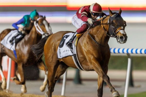Dubai Racing Club's programme of events for Super Saturday 2022 announced