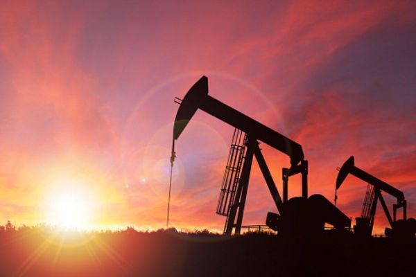 UAE Favours Oil Supply Boost, Causing a Plunge in Oil Prices