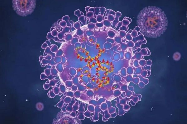 UAE is prepared to deal with monkeypox, says Ministry of Health