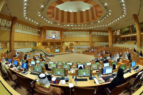 FNC approves two draft federal laws, UAE will adopt an accrual-based accounting system