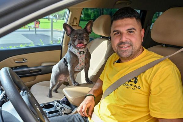 There's a new taxi service for your pets in Dubai