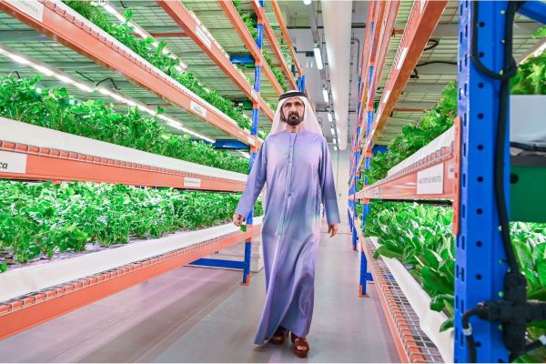 Ruler of Dubai tours world’s largest vertical hydroponic farm in Dubai