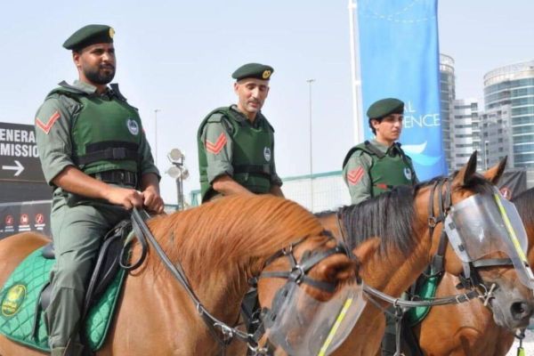 6 paid services offered by Dubai Mounted Police