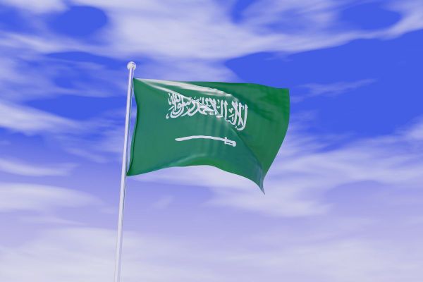 Saudi Arabia introduces new educational visas