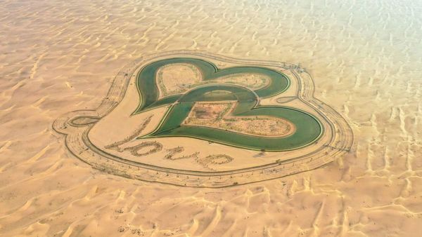 Love Lake Dubai - Why You Must visit Al Qudra Lake