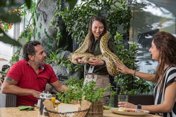 The Green Planet Dubai - The Best Things To See and Do