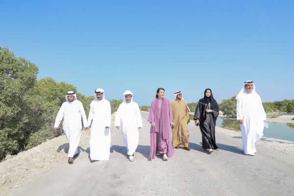MoCCAE launches roadmap for the National Carbon Sequestration Project aiming to plant 100 million mangroves
