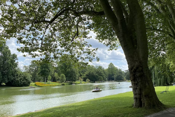 Top Parks in Dubai You Must Visit