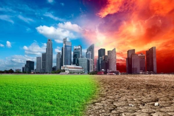 MOCCAE launches Climate Ambassadors Programme inviting UAE students to take charge of environmental future