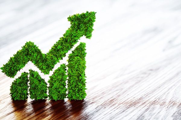 UAE records 32% growth in green & sustainable finance issuing in 2022
