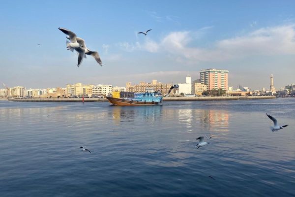 Dubai Public Art to unveil three distinctive artistic interventions across the city