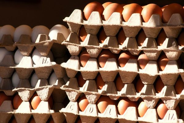 UAE: Temporary rise in prices of eggs & poultry by a maximum of 13%