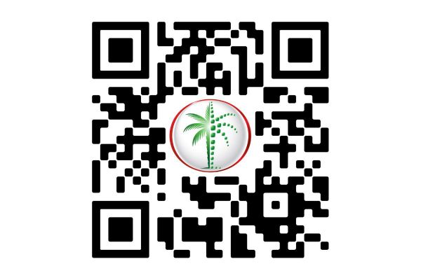 DLD launches new electronic service to verify validity of real estate ads via QR codes