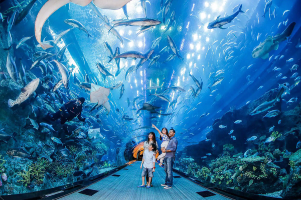 Dubai Aquarium & Underwater Zoo in Dubai Mall