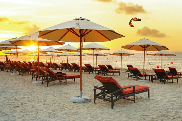 New 'dog-friendly' beach opens on Dubai Islands