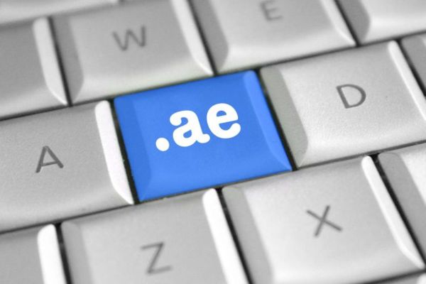 TDRA records registration of 300,000 websites in .ae in 2023