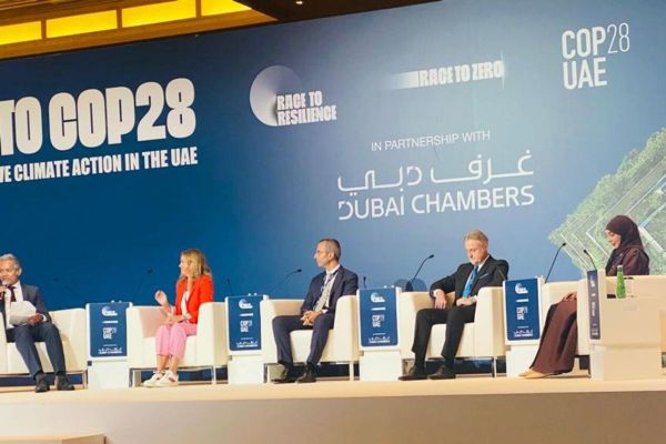 How UAE companies are embracing the Net Zero race