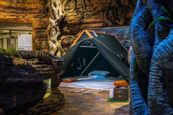 UAE: 5 unique summer camp experiences for kids in 2023