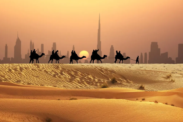 Top Things to Do in Dubai's Desert