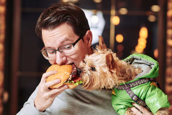 Bark and Bite: Discover Dubai's Top Dog-Friendly Restaurants