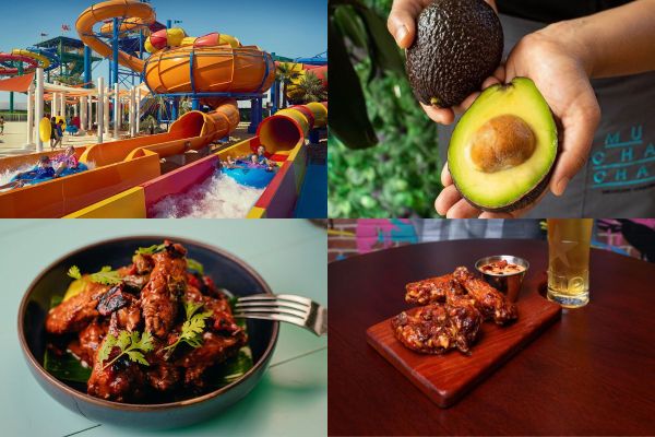 Enjoy exciting summer offers and festivities with Ishraq Hospitality