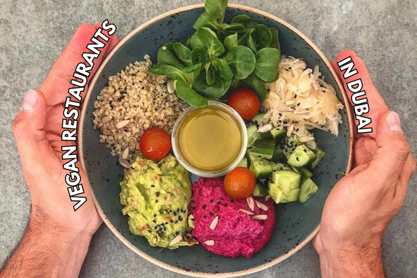 A Culinary Journey: Discovering Dubai's Top Vegan Dining Spots