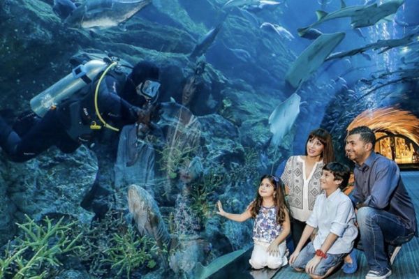 Cool Escapes in Dubai: 5 Unmissable Indoor Spots to Beat the Summer Heat