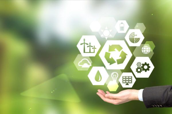 Embracing Green Horizons: All about the Dubai Sustainable Tourism Stamp