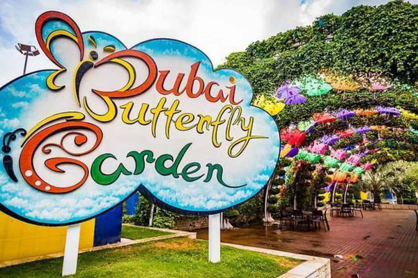 A Guide to Dubai Butterfly Garden: Attractions, Ticket Prices & More