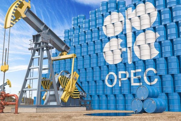 OPEC expects UAE economy to continue growth in 2023