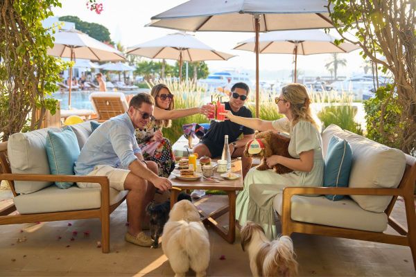 Park Hyatt Dubai introduces a Tail-Telling Stay Offer