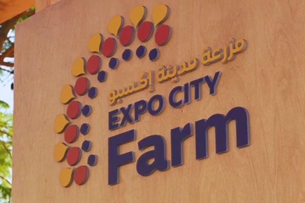 Expo City Farm at COP28: A visionary response to climate change challenges
