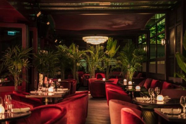 Welcome 2024 in Style with Unmatched Luxury and Spellbinding Performances at 'Babylon'