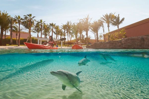 Atlantis Aquaventure To Offer Extra FREE Day at the Waterpark for Double the Fun