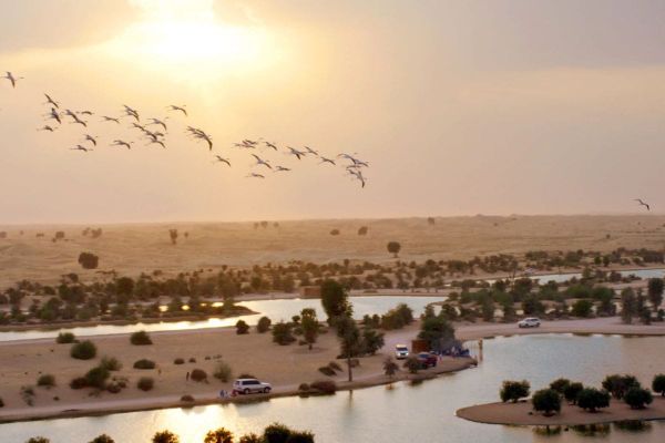 8 Unmatched Getaways for a Leisurely Day in the UAE