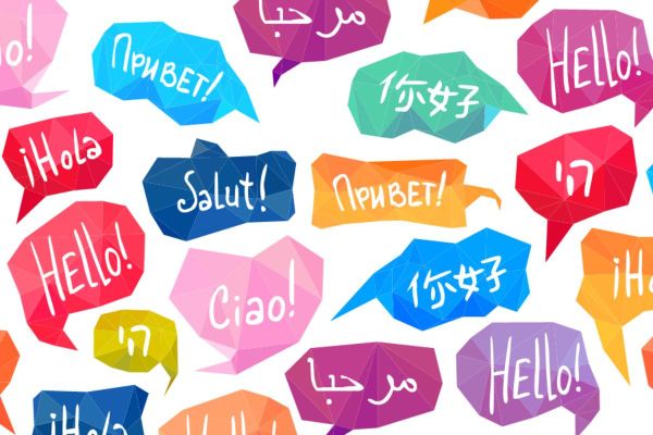 From Beginner to Bilingual: Dubai's Top Language Classes
