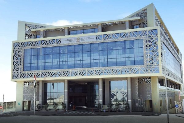 Crackdown on Fake Emiratisation: UAE Ministry Issues Stern Warning and Penalties