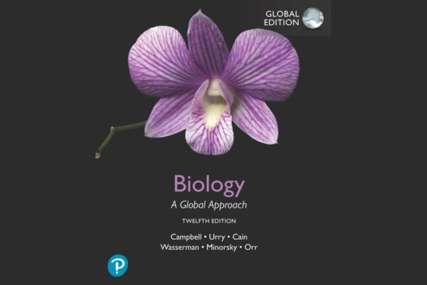 Pearson to Launch AI Study Tools for International Universities