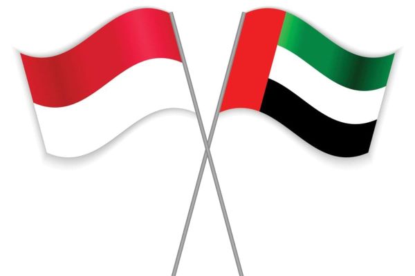 UAE and Indonesia Sign MoU to Enhance Public Financial Management Cooperation