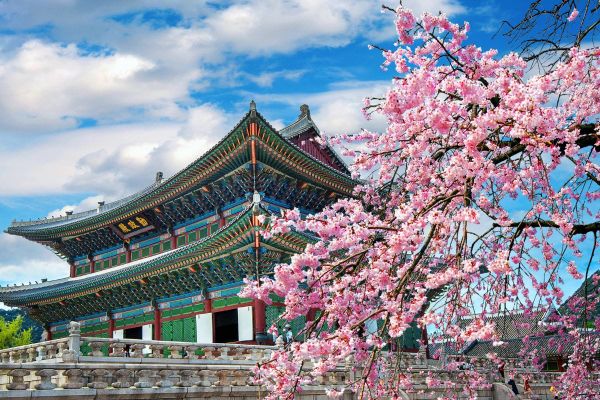 UAE: How to Obtain a Tourist Visa for South Korea