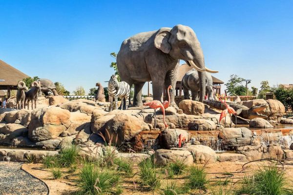 Dubai Safari Park Reopens for Sixth Season on October 1