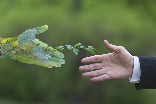 Setting the Standard: How Businesses in Dubai are Adopting Sustainability Trends