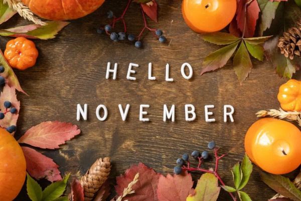 Explore the Best Events in Dubai This November