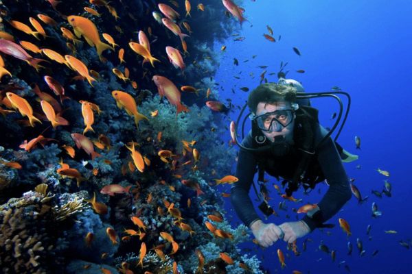 Beneath the Waves: Top Scuba Diving Centers in Dubai