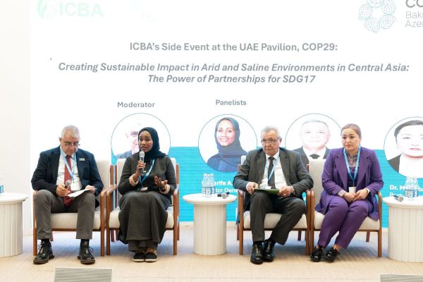UAE Pavilion at COP29 Focuses on Water Resilience and Food Security