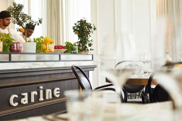 Carine Unveils Magical Festive Celebrations for Christmas and New Year