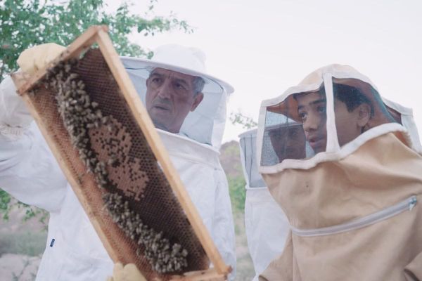 Dubai Municipality Launches Ninth Hatta Honey Festival
